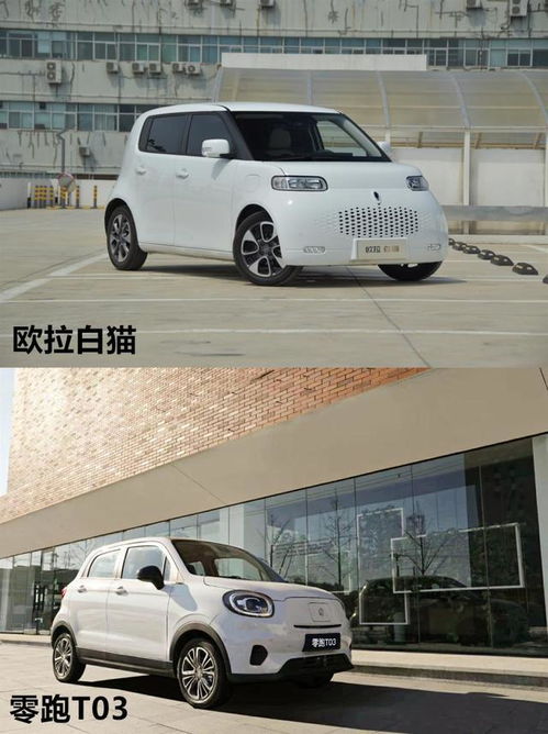  背靠长城汽车欧拉白猫实力出击对战零跑t03