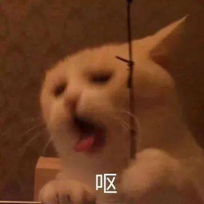  头像图片丨沙雕情头,九人开黑团头群头