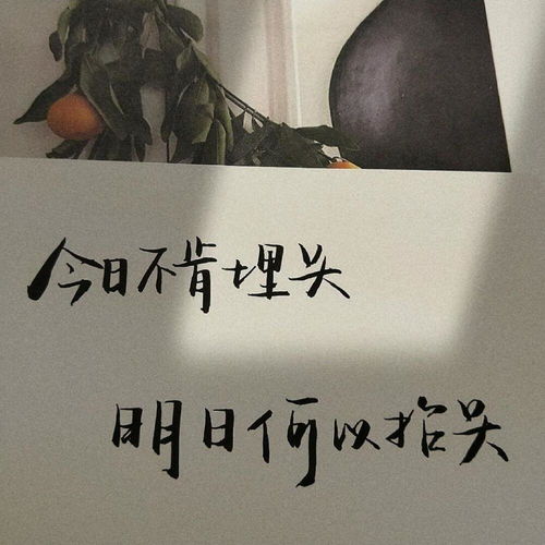微信励志头像2020最火文