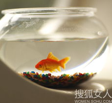  无房不成婚婚房选择布置攻略5770209女人频道