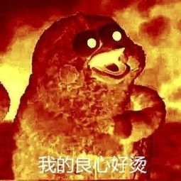  奇葩说不给别人添麻烦,是一种美德吗