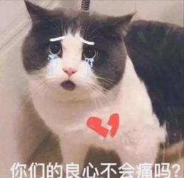  痛心厦门5旬男子体验养生计划被要求禁食7天,没几天竟身亡你的父母也许...