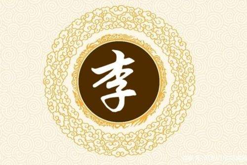  李姓氏的来源和历史,李姓氏宝宝如何取名字