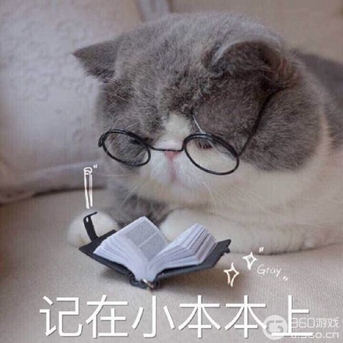  个人空间上线故事可分享,点赞明星动态还有奖