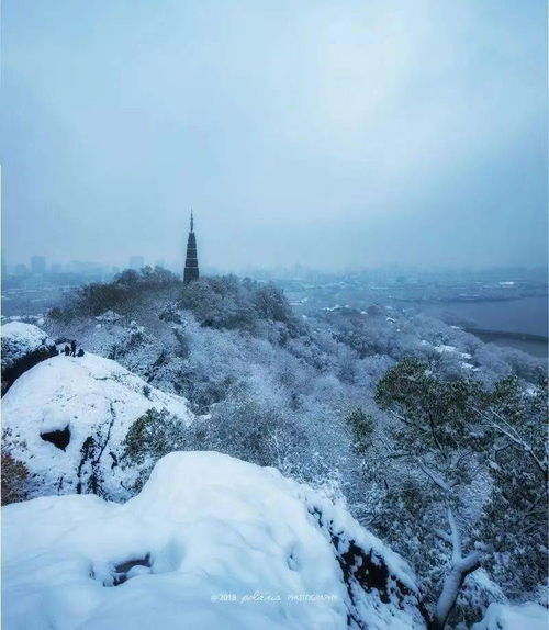  还没好好地感受,雪花绽放的气候这天就热了