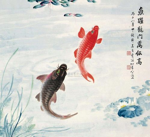  锦鲤年年有鱼跳龙门锦鲤跳龙门是什么意思
