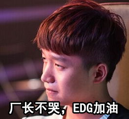  lols6总决赛虎牙直播观众预测edg胜率仅1