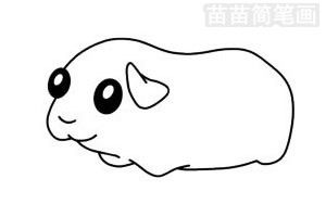  荷兰猪简笔画图片大全画法