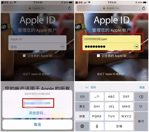 苹果怎么设置id头像壁纸