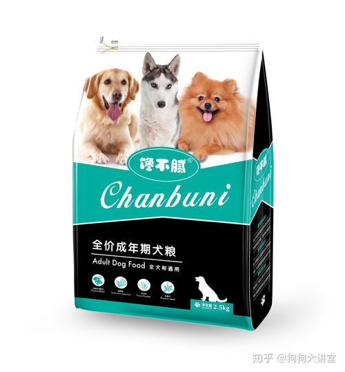  掉毛最厉害的7种狗狗,网友如果狗毛能卖钱,我可能要发财了