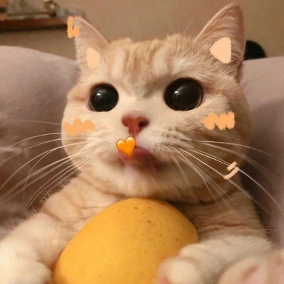 猫咪治愈系头像拟人帅气