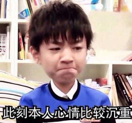  段子手神回复女生a罩杯是一种怎样的人生体验
