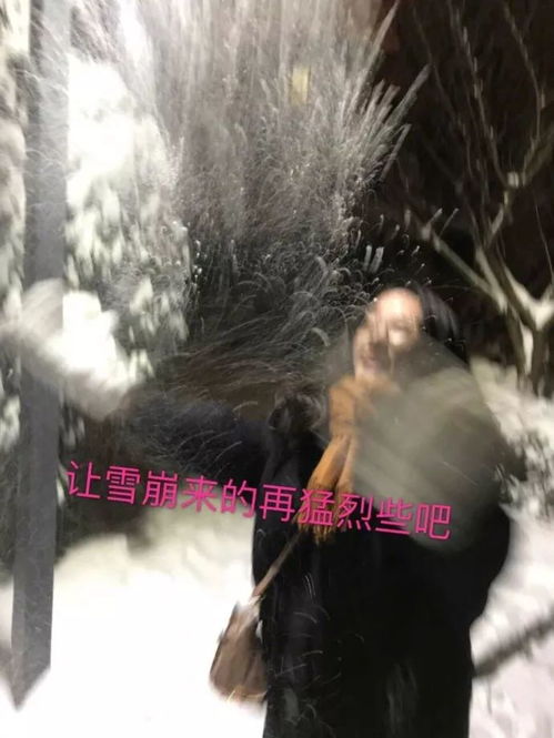  女朋友看完你拍的雪景照,决定分手了