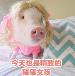  可乐视频直播全集可乐资料大全yy官方