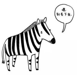  用最萌的简笔画,画出动物们最深的心酸