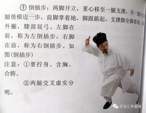  武当太极课堂太极拳二十八势4