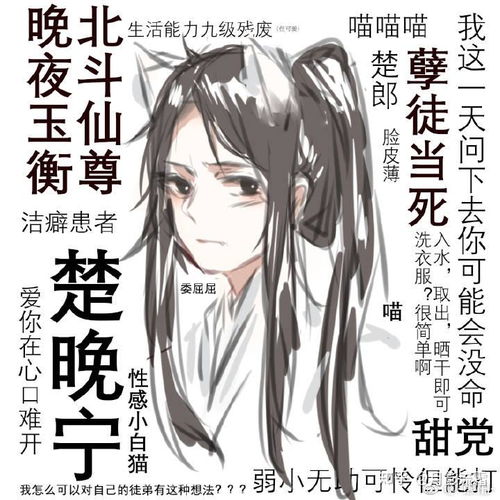  人设矛盾,情节没有逻辑的二哈和他的白猫师尊