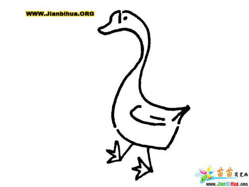  鸡鸭鹅简笔画图片10张画技法大全