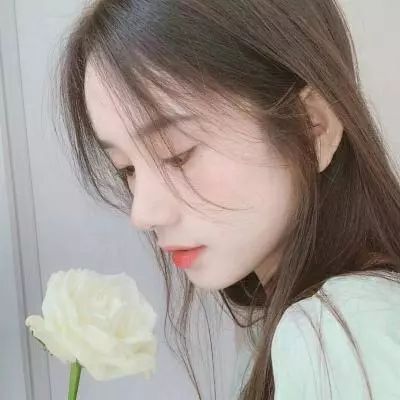  zhainan视频app安装