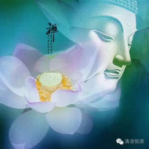云水禅心头像
