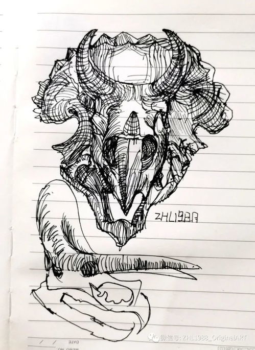  每日一画五画的动物肌肉结构系列