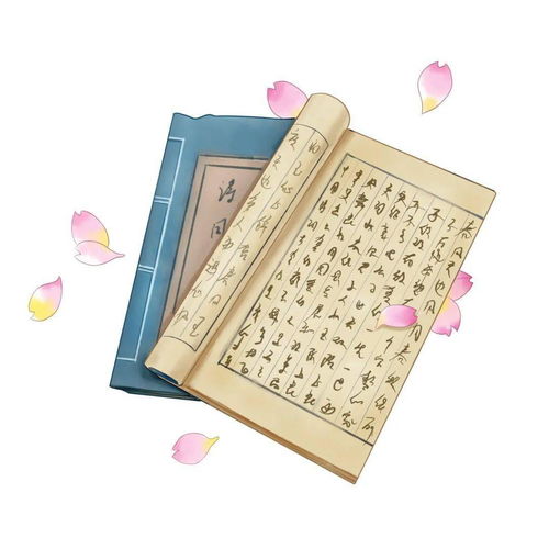  品味经典铭记诗词