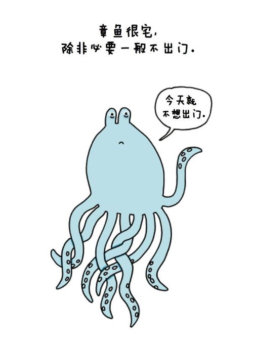  乌龟用屁股呼吸章鱼不爱出门动物的冷知识你知道多少