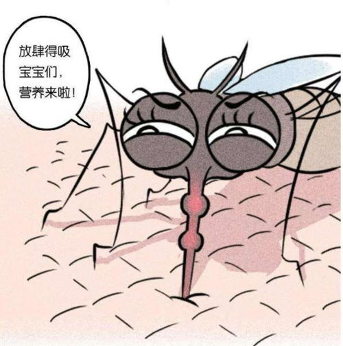  如果把四种血型的人关在一起,蚊子会叮谁这个实验真有意思