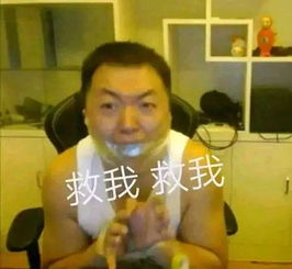  你永远叫不醒一个沉睡的人