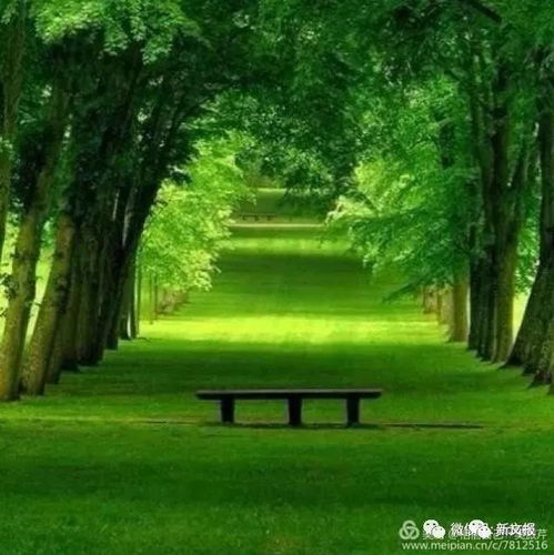  知名作家吴振芹拉车抬头看风景,别忘低头走好脚下的每一步