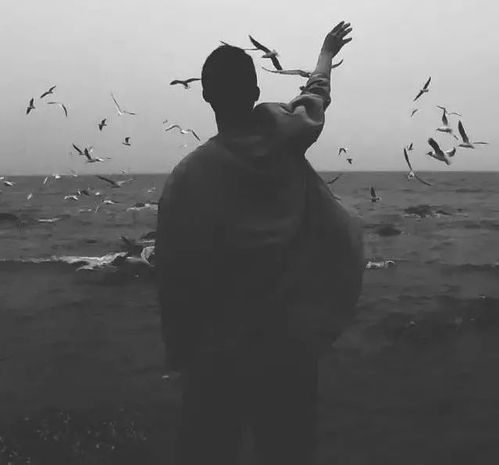 人生不怕苦,就怕你不醒悟
