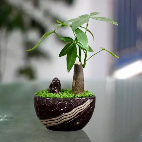  影响财运的八个生活小细节,搞懂了财运滚滚而来