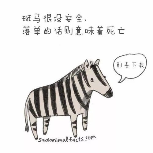  动物界你不知道的那些冷知识,知道5个以上算你厉害