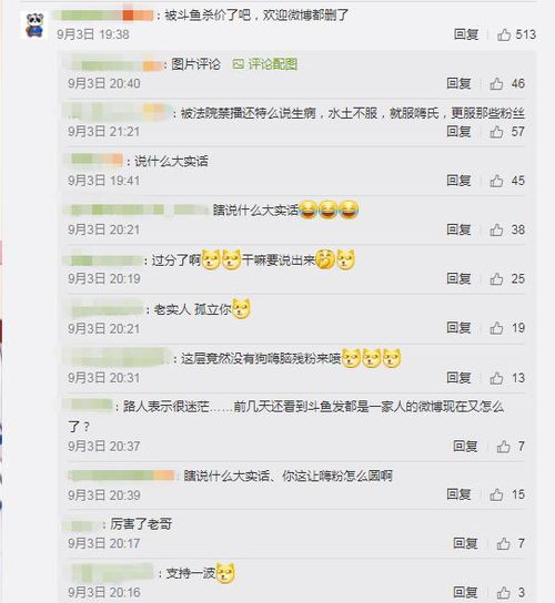  王者荣耀虎牙斗鱼戏耍嗨氏嗨氏禁止直播,宣称自己发高烧住院