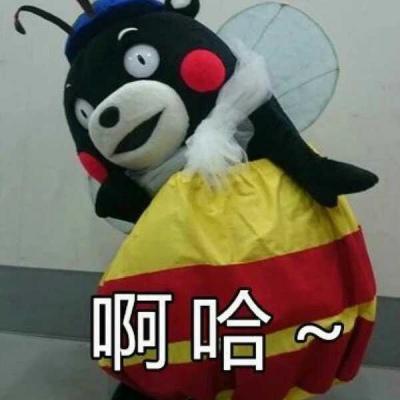熊本熊头像不带字表姐