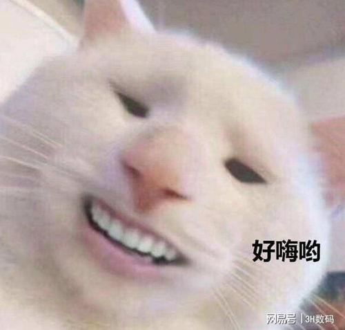  39元100g非物联网卡真的是太划算了再也不用蹭邻居wifi了