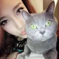  疯狂动物城微信图片