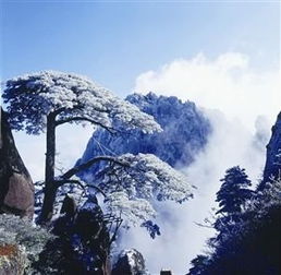  云海仙境踏雪攀登黄山四绝