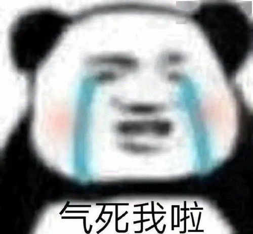  智商美商双满分大脑选手竟是时尚圈在逃博主