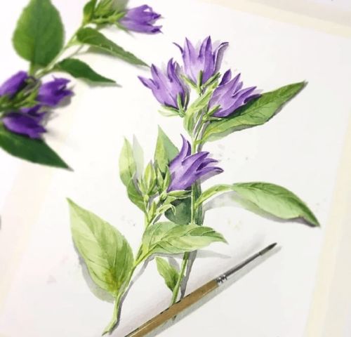  小清新水彩手绘集