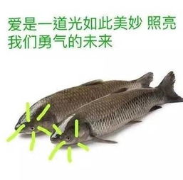  浙江考生做了一篇连作者都不知道答案的阅读理解,心疼