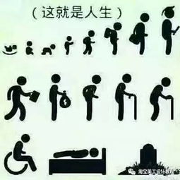  一张图,就是我们的一生.......