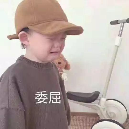  你在养猫时最受不了的地方是什么