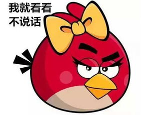  中美貘长啥样国庆去郑州市动物园看看吧
