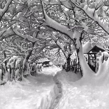  74岁老人一生用铅笔画雪景,这才叫照骗连普京都被骗了