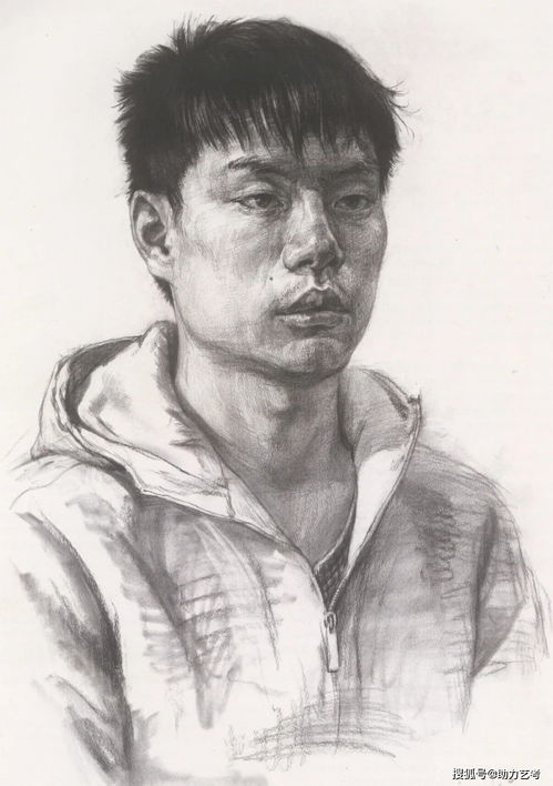  国美素描头像高分卷,你的临摹好帮手
