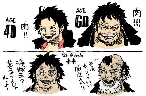  尾田笔下的角色老年化,路飞颓废成胖大叔,娜美堕落成老太婆