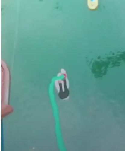  小姐姐分手后蹦极,跳前对前男友说4个字,网友活该幸福一辈子
