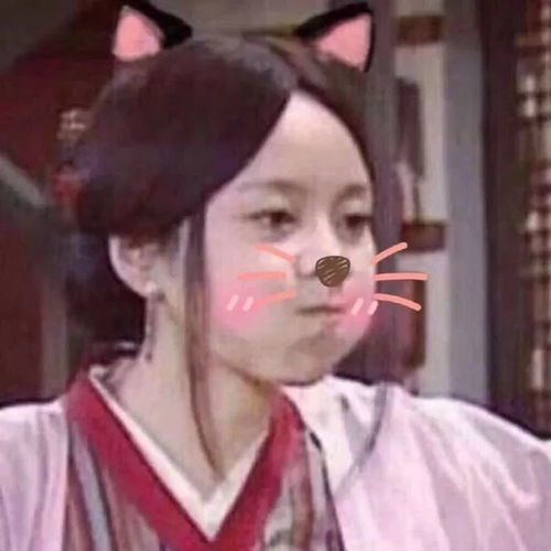武林外传头像沙雕姐妹困