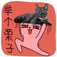  帅t照片头像微信头像图片大全